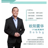 歐陽(yáng)震華